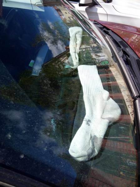 morning picdump 50 pics 3.html - 50 HD Photos | Premium Gallery 2016