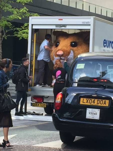 morning picdump 50 pics 3.html - 50 HD Photos | Premium Gallery 2016