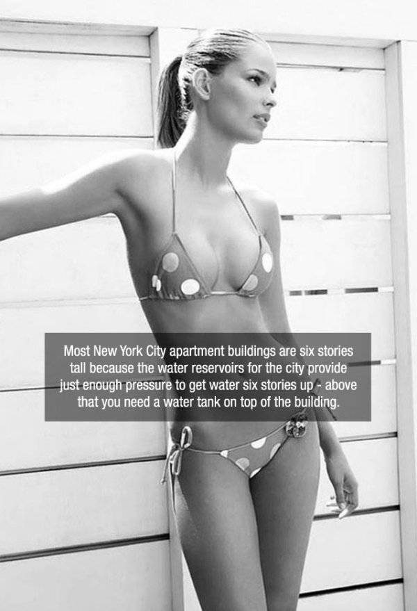 Facts are Best Served with Hot Girls