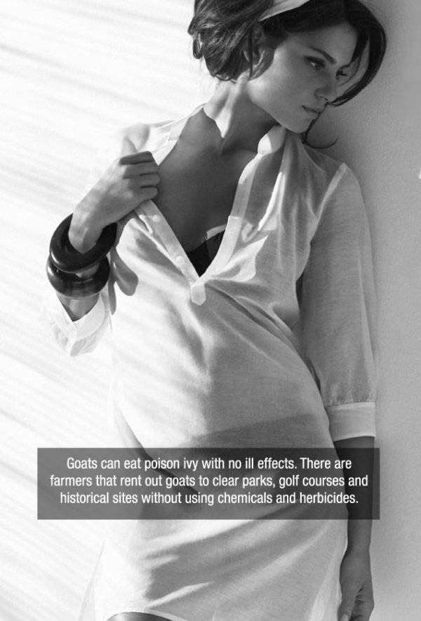 Facts are Best Served with Hot Girls