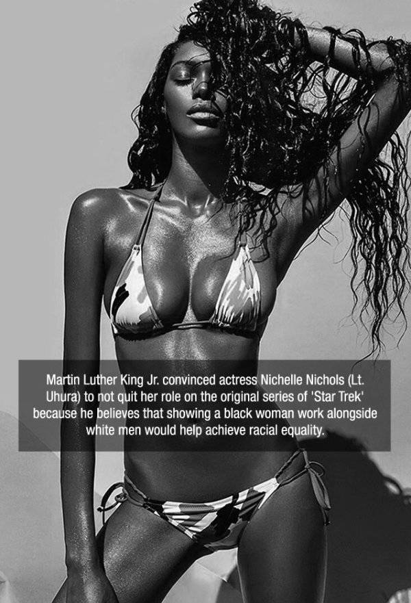 Facts are Best Served with Hot Girls