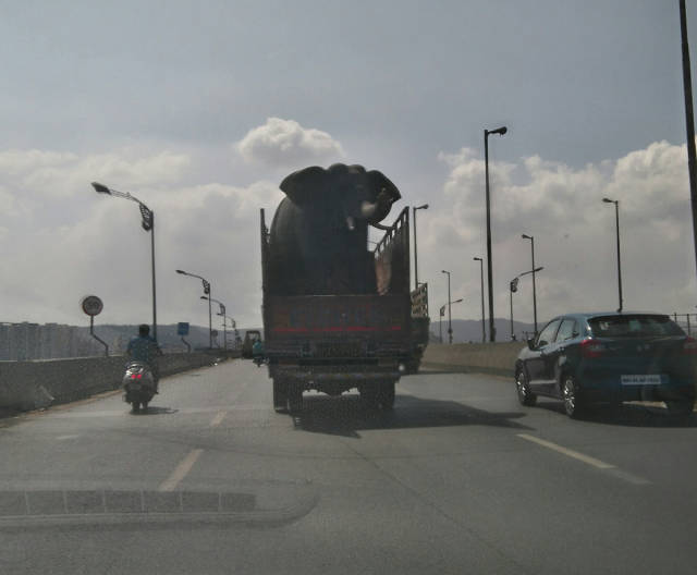 morning picdump 56 pics 20.html - 56 HD Photos | Premium Gallery 2016