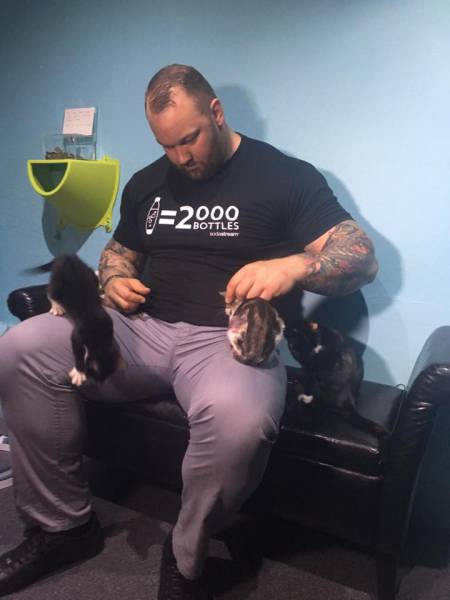 morning picdump 56 pics 20.html - 56 HD Photos | Premium Gallery 2016