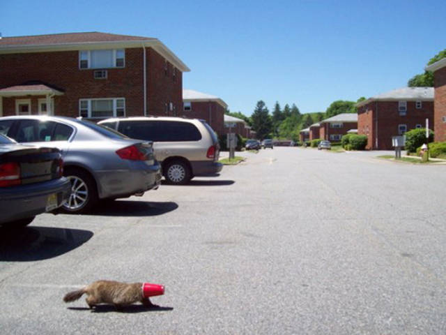 Sometimes When Sh#t Happens There Is No Escape...