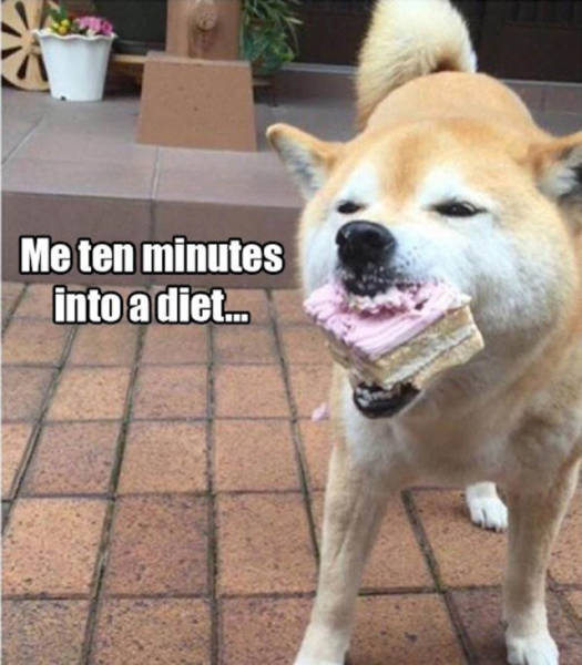 Sometimes When Sh#t Happens There Is No Escape...