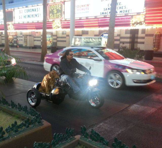 morning picdump 50 pics 8.html - 50 HD Photos | Premium Gallery 2016