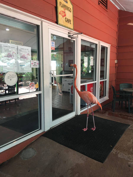 morning picdump 51 pics 17.html - 51 HD Photos | Premium Gallery 2016