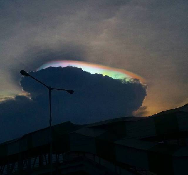 morning picdump 51 pics 17.html - 51 HD Photos | Premium Gallery 2016