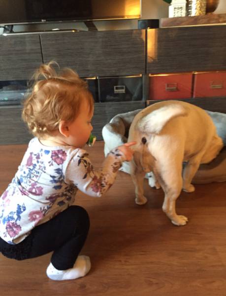 morning picdump 51 pics 17.html - 51 HD Photos | Premium Gallery 2016