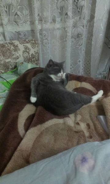 morning picdump 50 pics 15.html - 50 HD Photos | Premium Gallery 2016