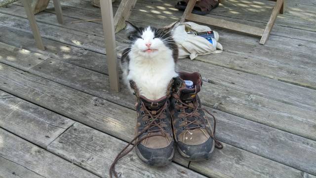 morning picdump 50 pics 15.html - 50 HD Photos | Premium Gallery 2016