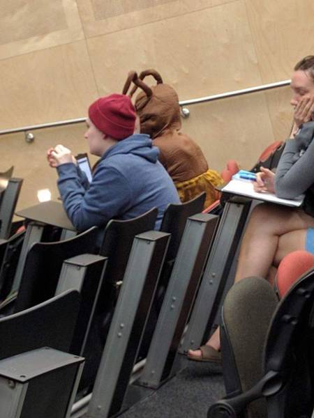 morning picdump 50 pics 15.html - 50 HD Photos | Premium Gallery 2016