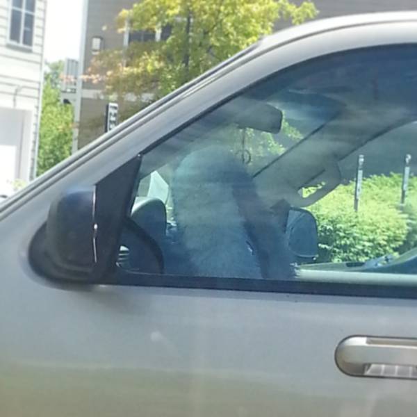 morning picdump 50 pics 15.html - 50 HD Photos | Premium Gallery 2016