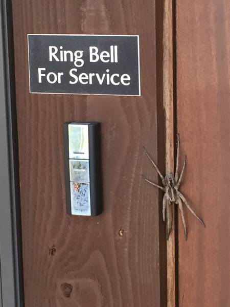 morning picdump 50 pics 15.html - 50 HD Photos | Premium Gallery 2016