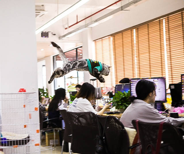 morning picdump 50 pics 15.html - 50 HD Photos | Premium Gallery 2016