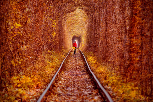 morning picdump 50 pics 15.html - 50 HD Photos | Premium Gallery 2016