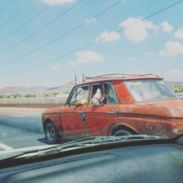 morning picdump 50 pics 15.html - 50 HD Photos | Premium Gallery 2016