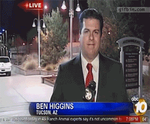 Compilation Of The Best Live News Bloopers In Gifs