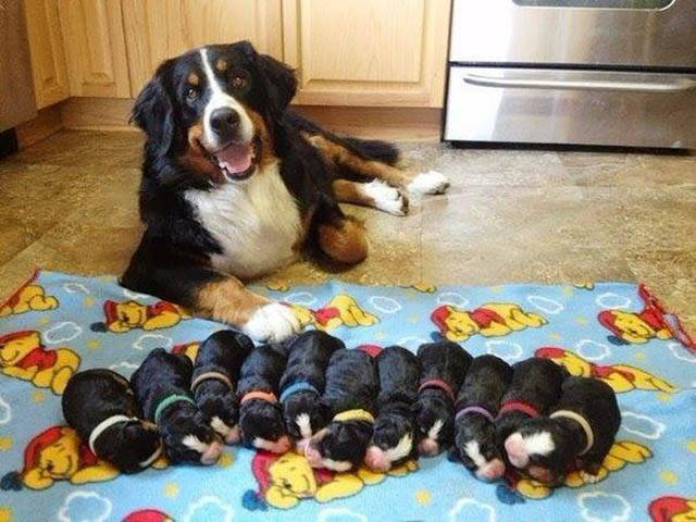 morning picdump 52 pics 20.html - 52 HD Photos | Premium Gallery 2016