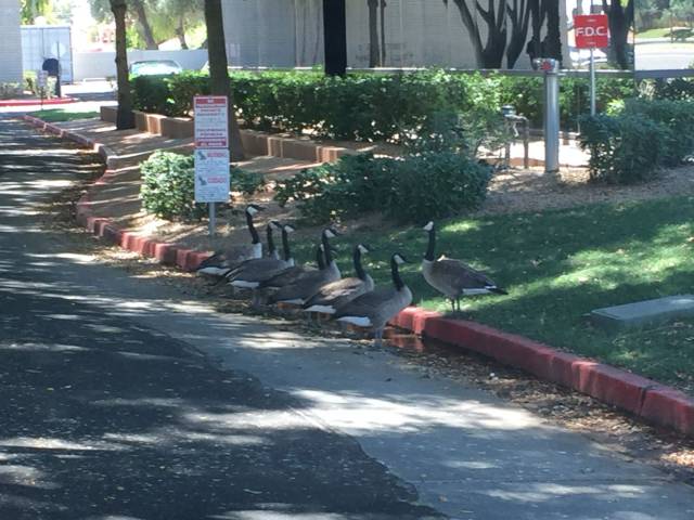 morning picdump 52 pics 20.html - 52 HD Photos | Premium Gallery 2016