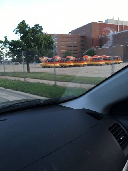 morning picdump 52 pics 20.html - 52 HD Photos | Premium Gallery 2016