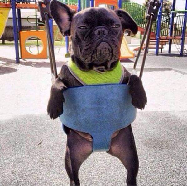 morning picdump 50 pics 8.html - 50 HD Photos | Premium Gallery 2016