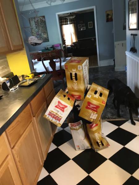 morning picdump 50 pics 8.html - 50 HD Photos | Premium Gallery 2016