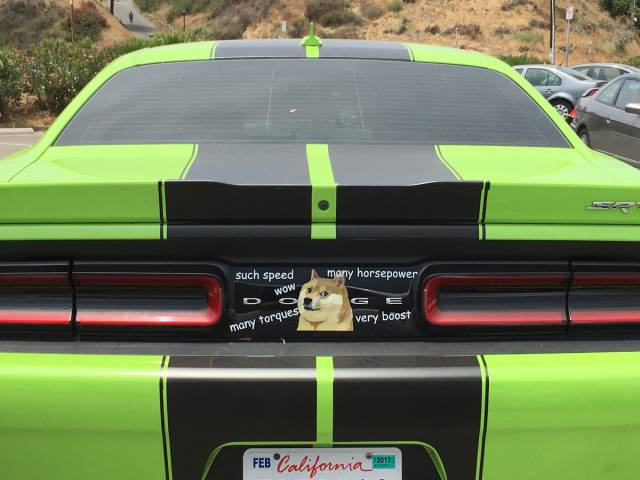 morning picdump 50 pics 19.html - 50 HD Photos | Premium Gallery 2016