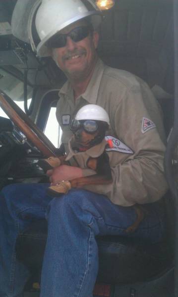 morning picdump 50 pics 19.html - 50 HD Photos | Premium Gallery 2016