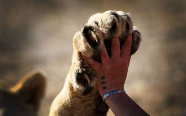 daily picdump 100 pics 34.html - 100 HD Photos | Premium Gallery 2016