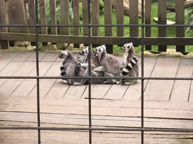 daily picdump 100 pics 34.html - 100 HD Photos | Premium Gallery 2016