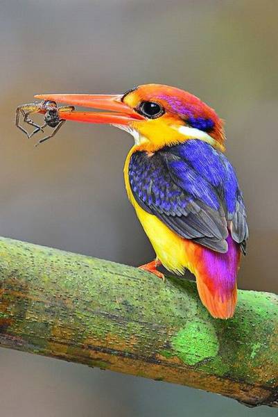 daily picdump 100 pics 34.html - 100 HD Photos | Premium Gallery 2016