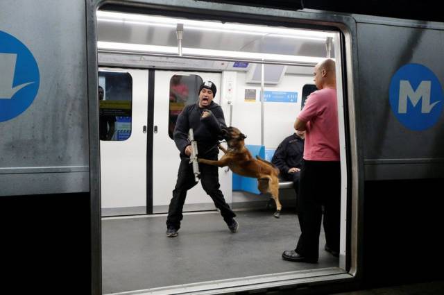 daily picdump 100 pics 34.html - 100 HD Photos | Premium Gallery 2016