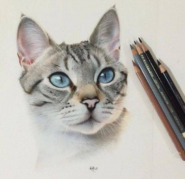 daily picdump 100 pics 34.html - 100 HD Photos | Premium Gallery 2016