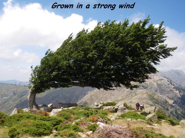 daily picdump 100 pics 34.html - 100 HD Photos | Premium Gallery 2016