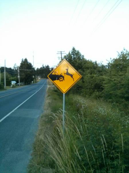 morning picdump 53 pics 21.html - 53 HD Photos | Premium Gallery 2016