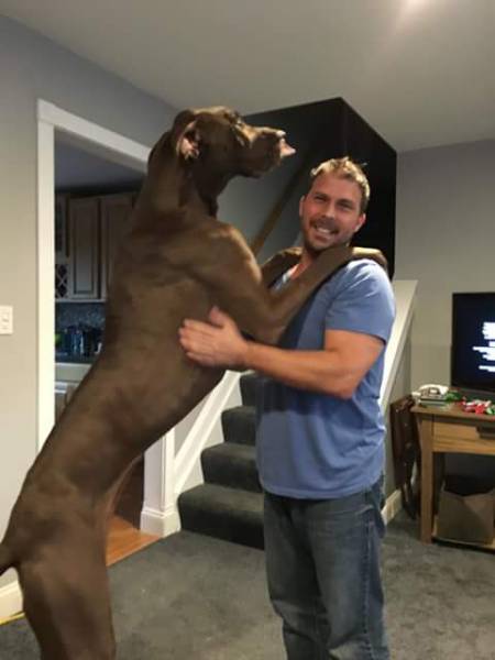 morning picdump 53 pics 21.html - 53 HD Photos | Premium Gallery 2016