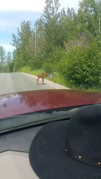 morning picdump 58 pics 3.html - 58 HD Photos | Premium Gallery 2016