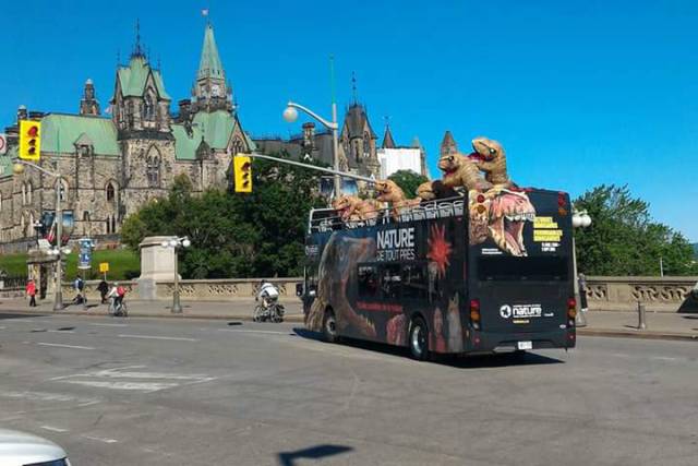 morning picdump 58 pics 3.html - 58 HD Photos | Premium Gallery 2016