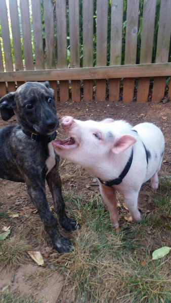 morning picdump 58 pics 3.html - 58 HD Photos | Premium Gallery 2016