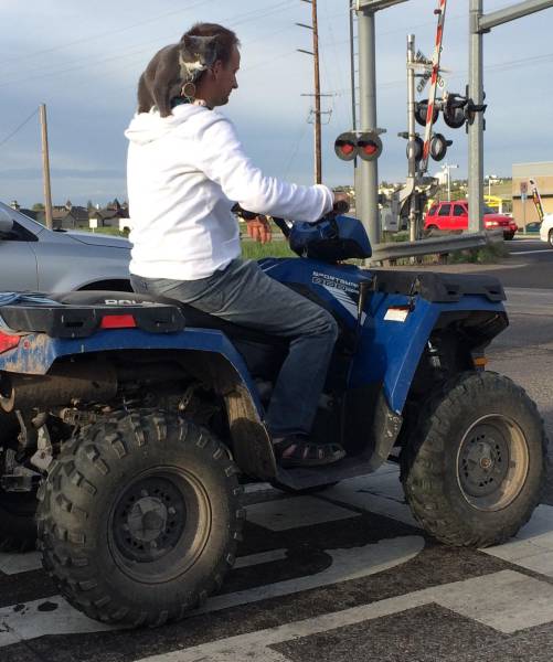 morning picdump 58 pics 3.html - 58 HD Photos | Premium Gallery 2016