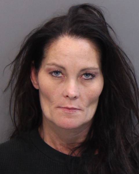 Mugshots Of American Prostitutes