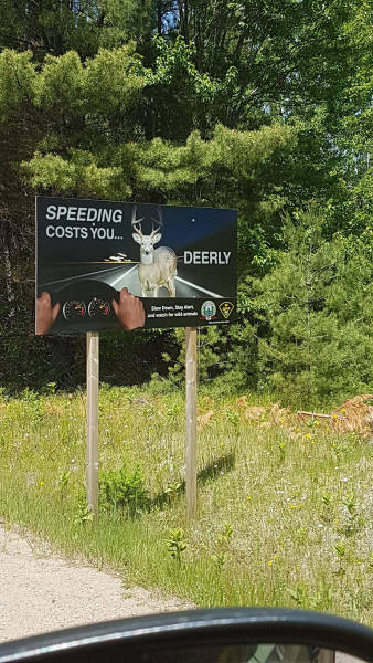 morning picdump 52 pics 14.html - 52 HD Photos | Premium Gallery 2016