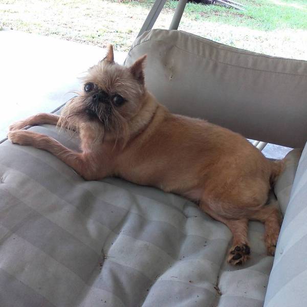 morning picdump 52 pics 14.html - 52 HD Photos | Premium Gallery 2016