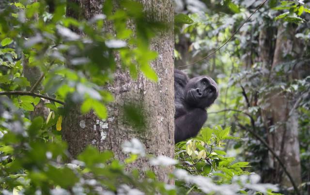 morning picdump 52 pics 14.html - 52 HD Photos | Premium Gallery 2016