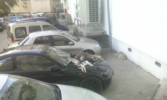 morning picdump 50 pics 21.html - 50 HD Photos | Premium Gallery 2016