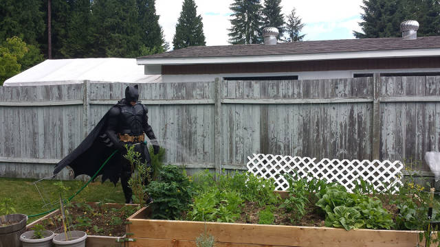 morning picdump 50 pics 21.html - 50 HD Photos | Premium Gallery 2016