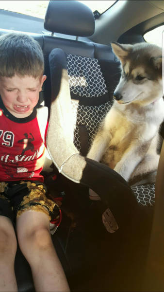 morning picdump 50 pics 21.html - 50 HD Photos | Premium Gallery 2016