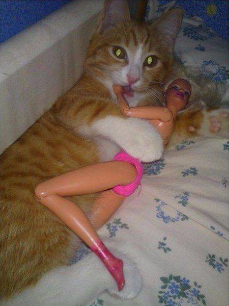 daily picdump 107 pics 18.html - 107 HD Photos | Premium Gallery 2016