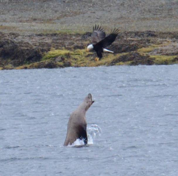 daily picdump 107 pics 18.html - 107 HD Photos | Premium Gallery 2016